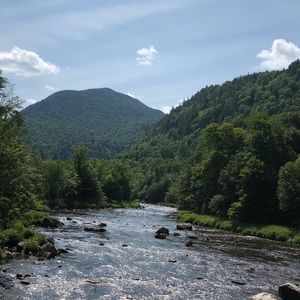 Meet your Posher, Carol